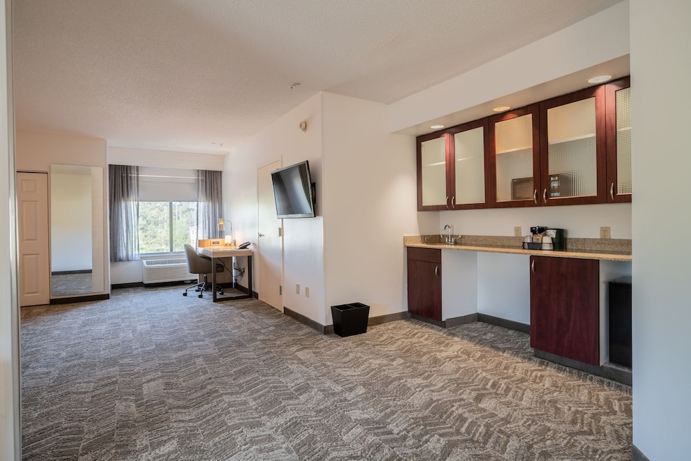 Executive Suite, 1 King Bed With Sofa Bed - Photo 10