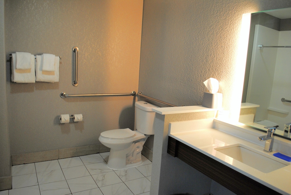 Suite, 1 King Bed, Accessible (Comm, Mobil Roll Shwr)