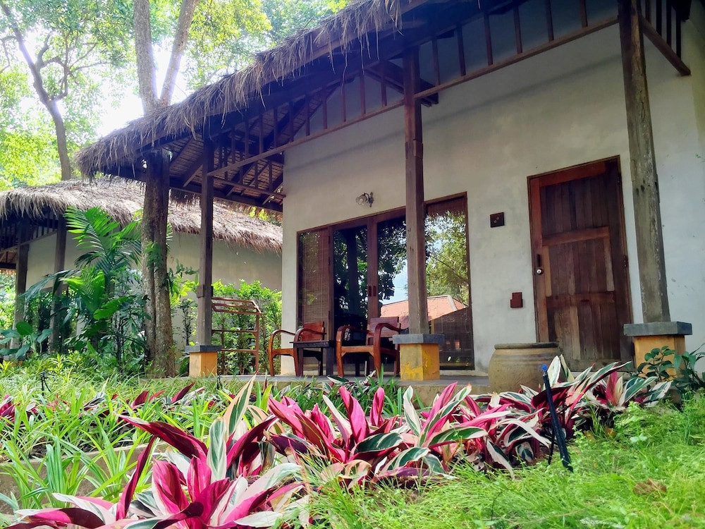 Standard Bungalow photo 3