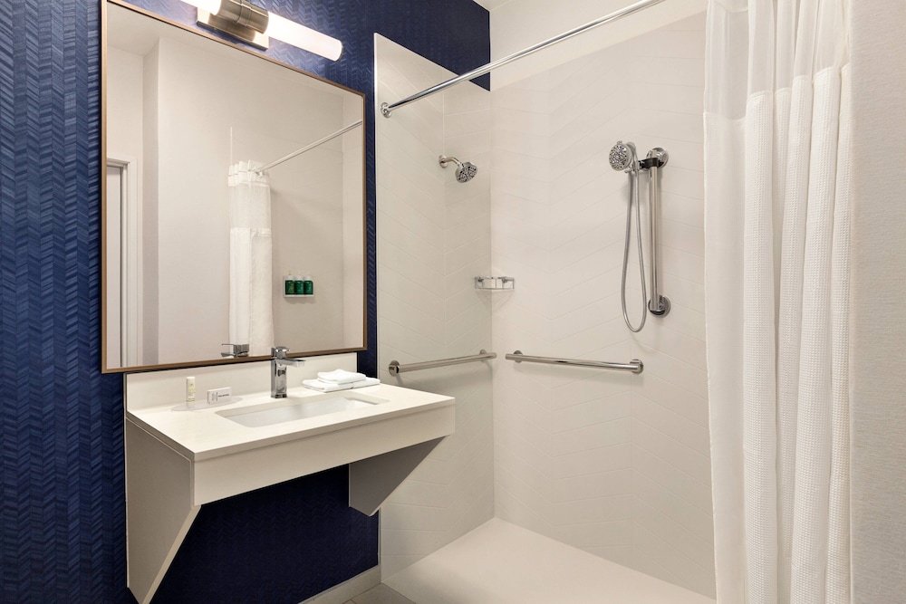Room, 1 King Bed (Mobility Accessible, Roll-In Shower) - Photo 4