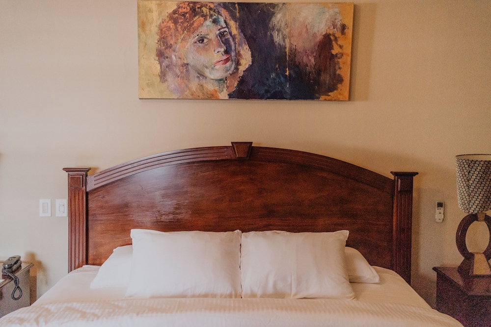 Suite, 1 King Bed photo 3