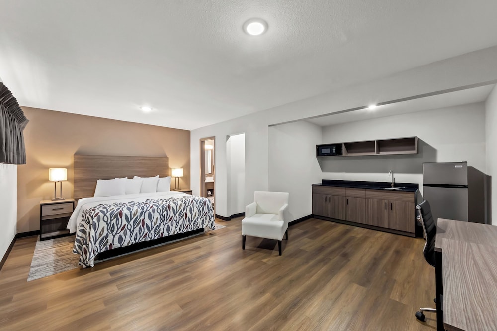 Superior Room, 1 King Bed, Non Smoking, Kitchenette - Photo 6