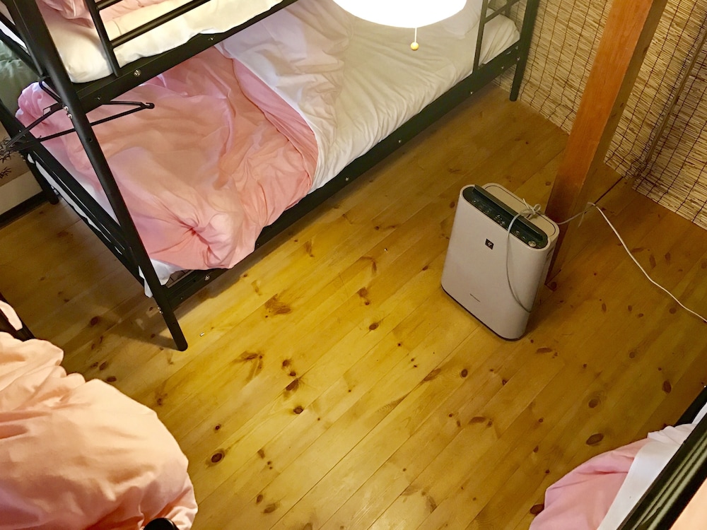 Bunk Bed in Female Dormitory Room, Shared Bathroom photo 1