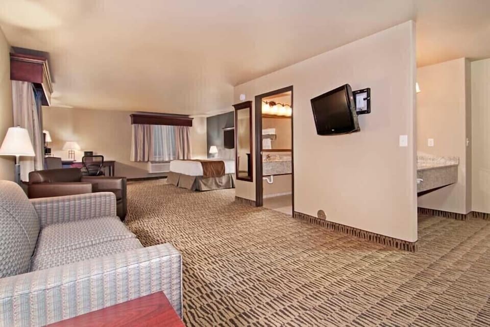 Standard Room, 1 King Bed (1 King Bed 1 Room Suite Non Smoking)