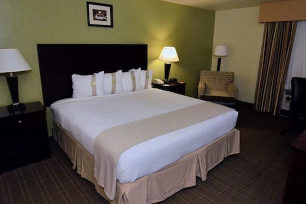 Holiday Inn - Fort Myers - Downtown Area by IHG, Bild 4