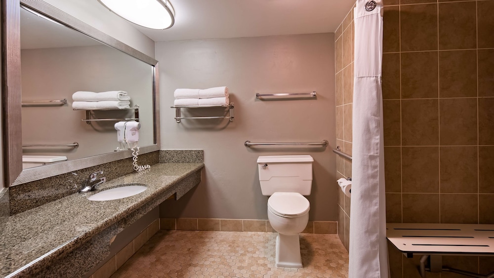 Standard Room, 1 King Bed, Accessible, Non Smoking