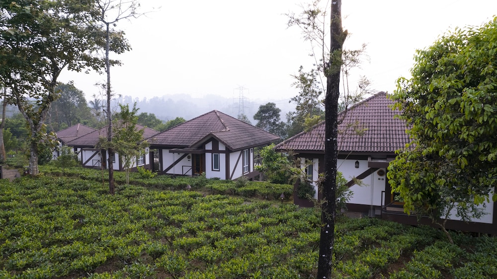 Plantation Cottage - Photo 5