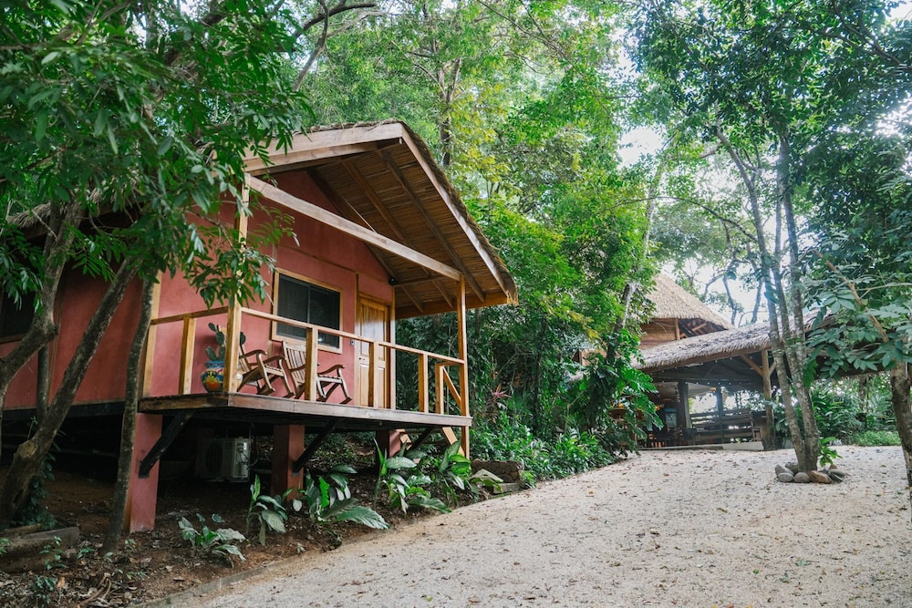 Jungle Dorm photo 3