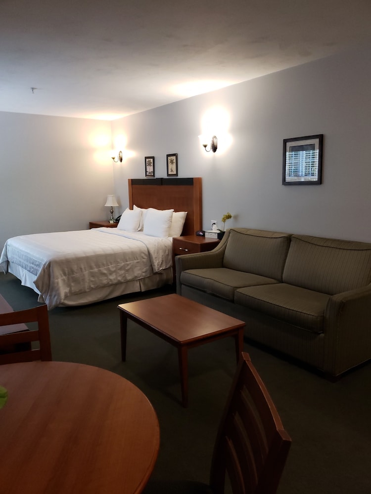 Superior Room, 1 King Bed, Kitchen