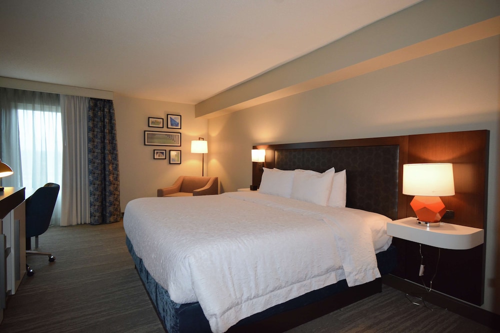 Suite, 1 King Bed with Sofa bed, Non Smoking - Photo 1