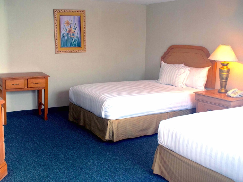 Standard Double Room, 2 Double Beds photo 3