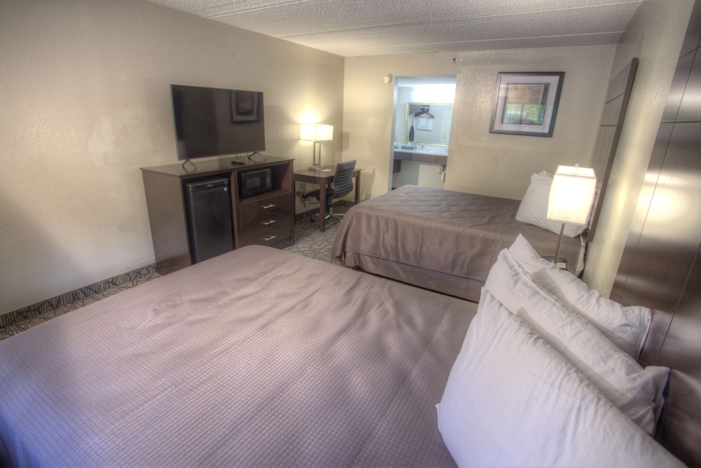 Standard Double Or Twin Room, 2 Double Beds