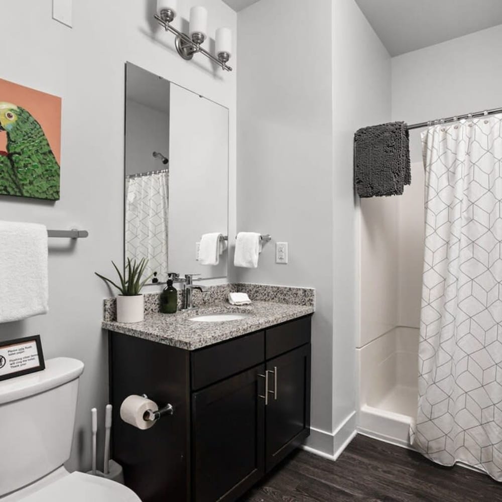Cozysuites Spacious 2BR Next to Whole Foods, Photo 23