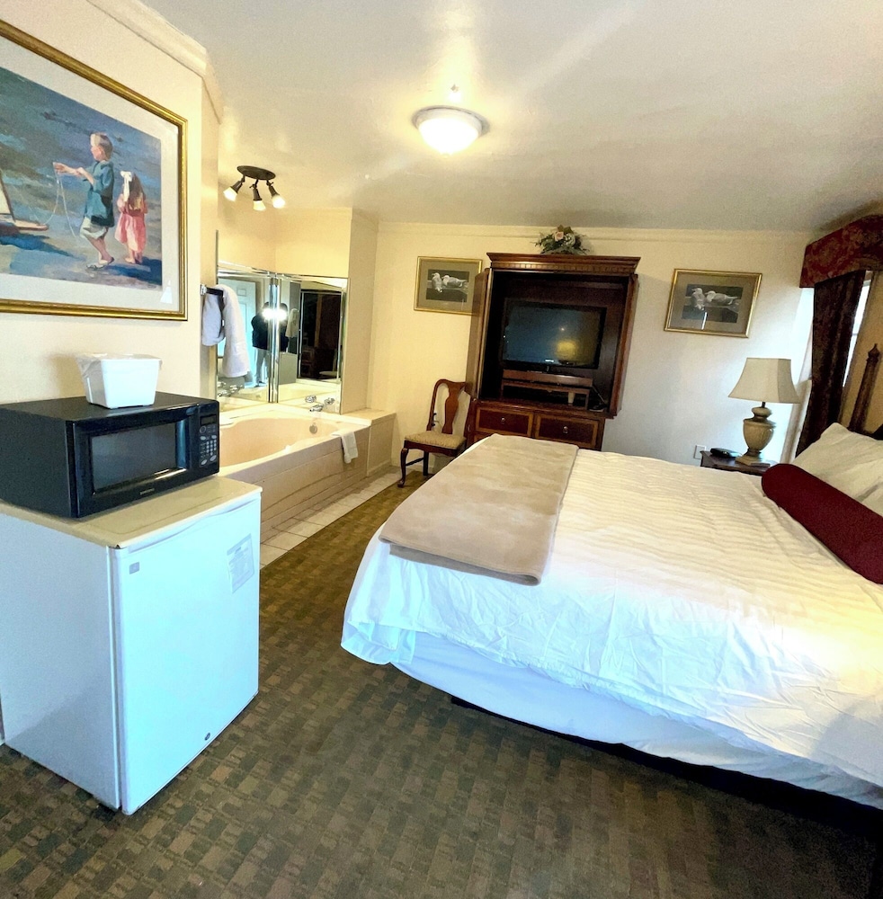 Single Room, 1 King Bed, Non Smoking, Jetted Tub photo 3