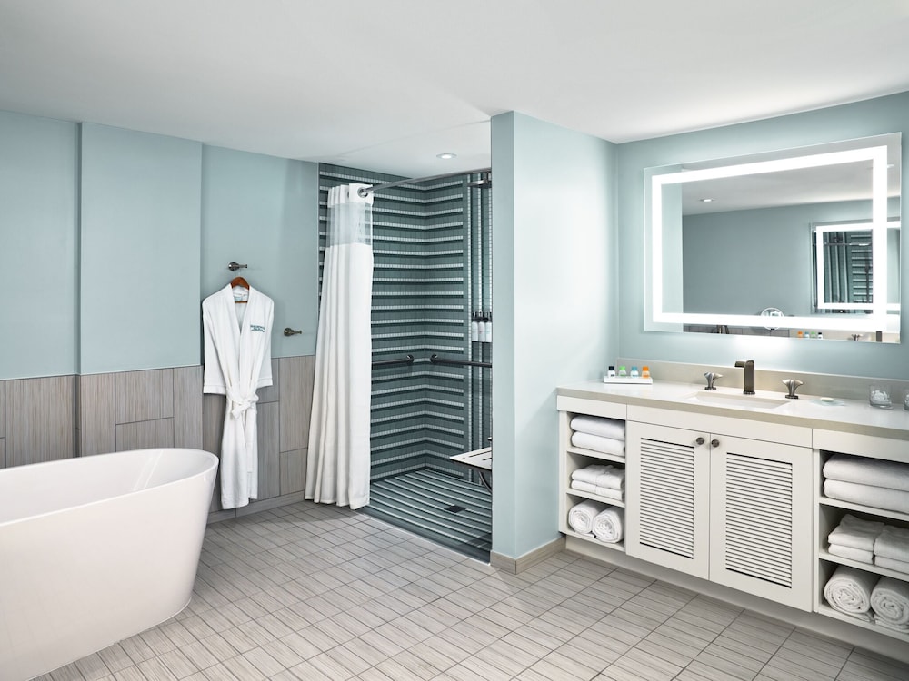 Executive Suite, Accessible (Hearing, Roll-In Shower) photo 2