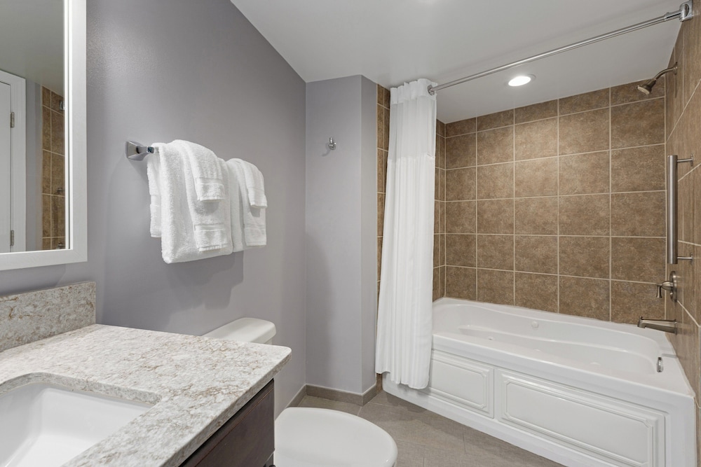 1 Bedroom - Photo 4