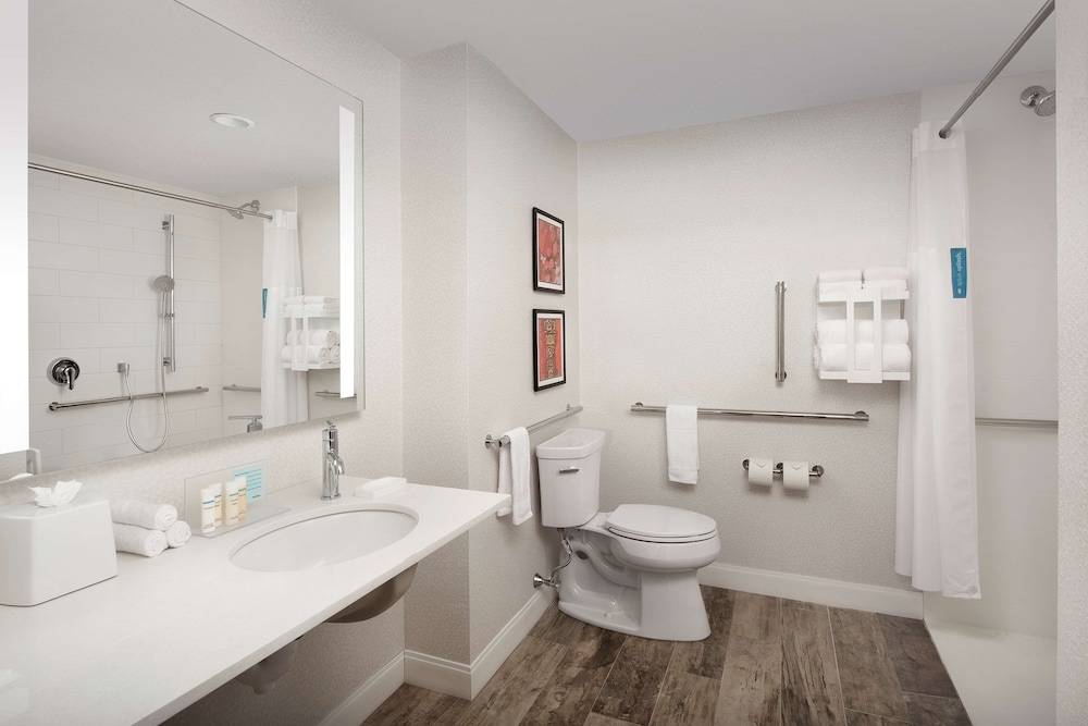 Room, 1 King Bed, Accessible (Mobility, Roll-In Shower) - Photo 4