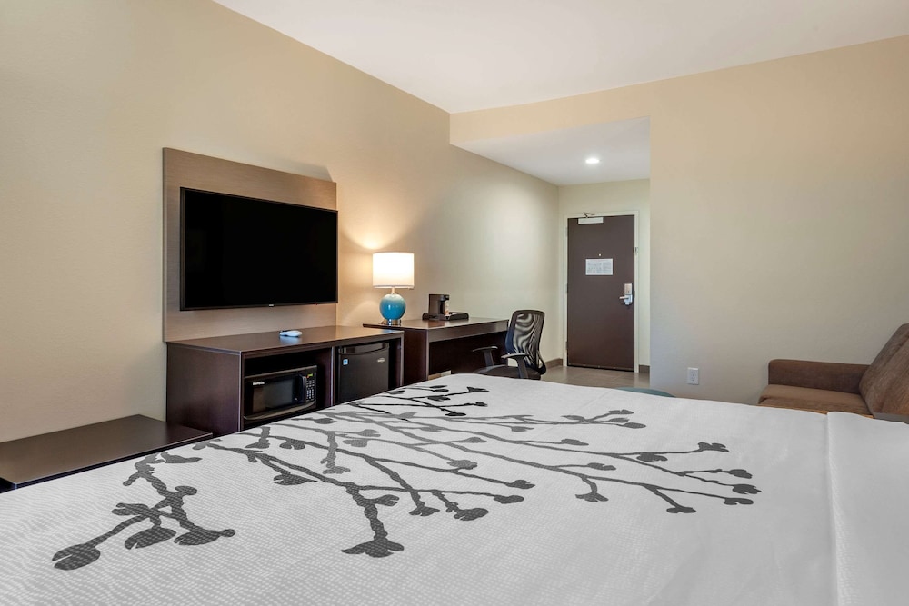 Suite, 1 King Bed with Sofa bed, Non Smoking - Photo 2