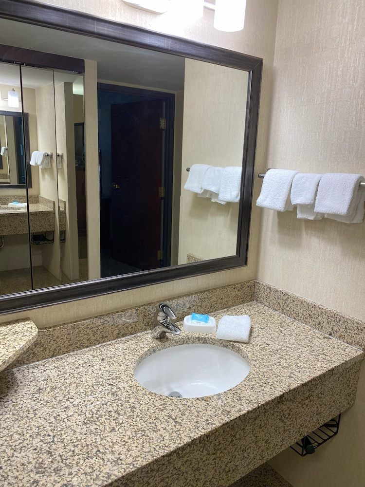Suite, 1 Bedroom - Photo 2