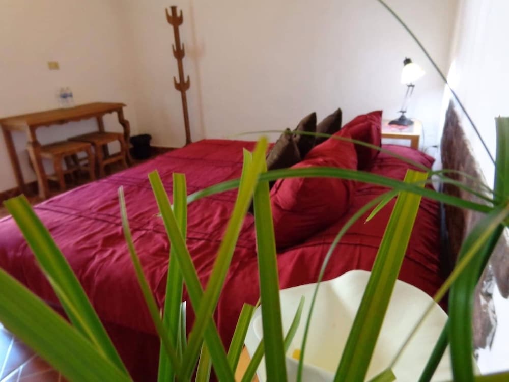 Room, 1 King Bed, Non Smoking photo 3