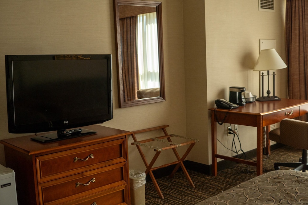 Executive Room, 1 King Bed - Photo 5