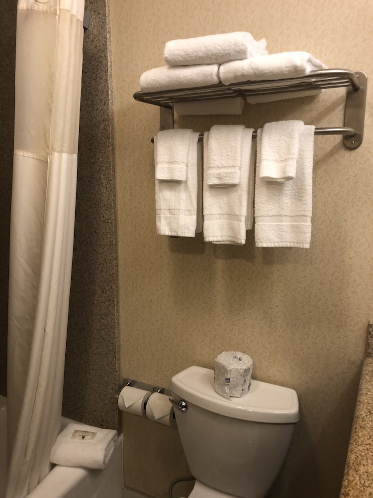Room, 2 Queen Beds, Non Smoking, Pet Friendly, photo 6