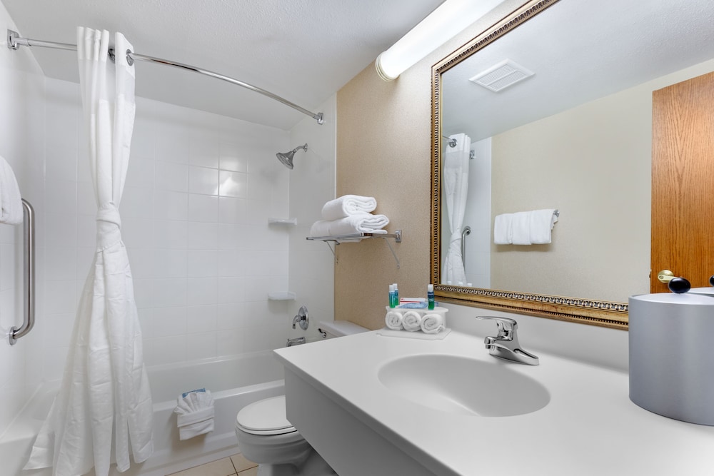 Standard Room, 1 King Bed, Accessible (Communications) - Photo 7