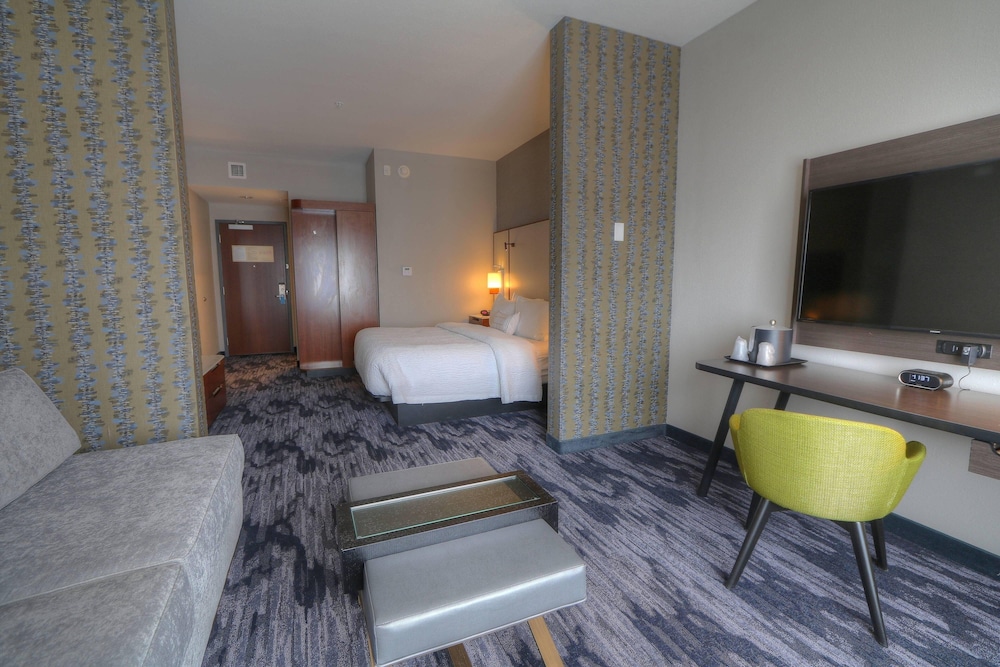 Suite, 1 King Bed with Sofa bed