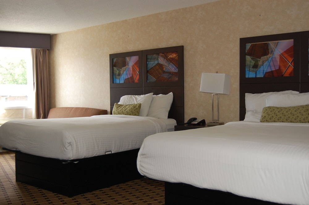 Deluxe Room - Photo 15