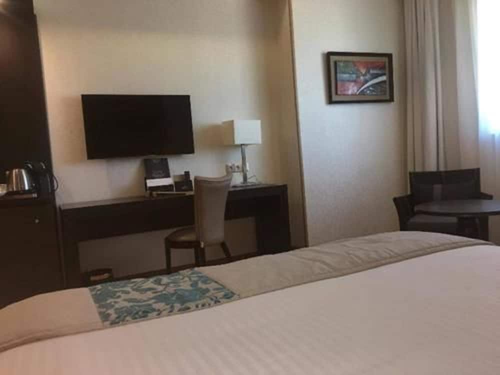 Deluxe Double Room photo 3