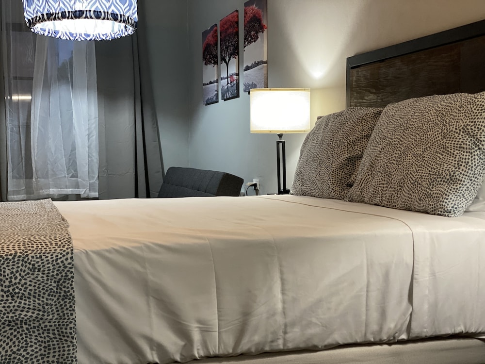 Premium Studio Suite photo 1