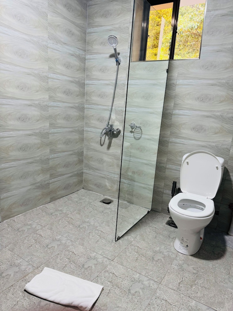 Deluxe Double or Twin Room photo 2