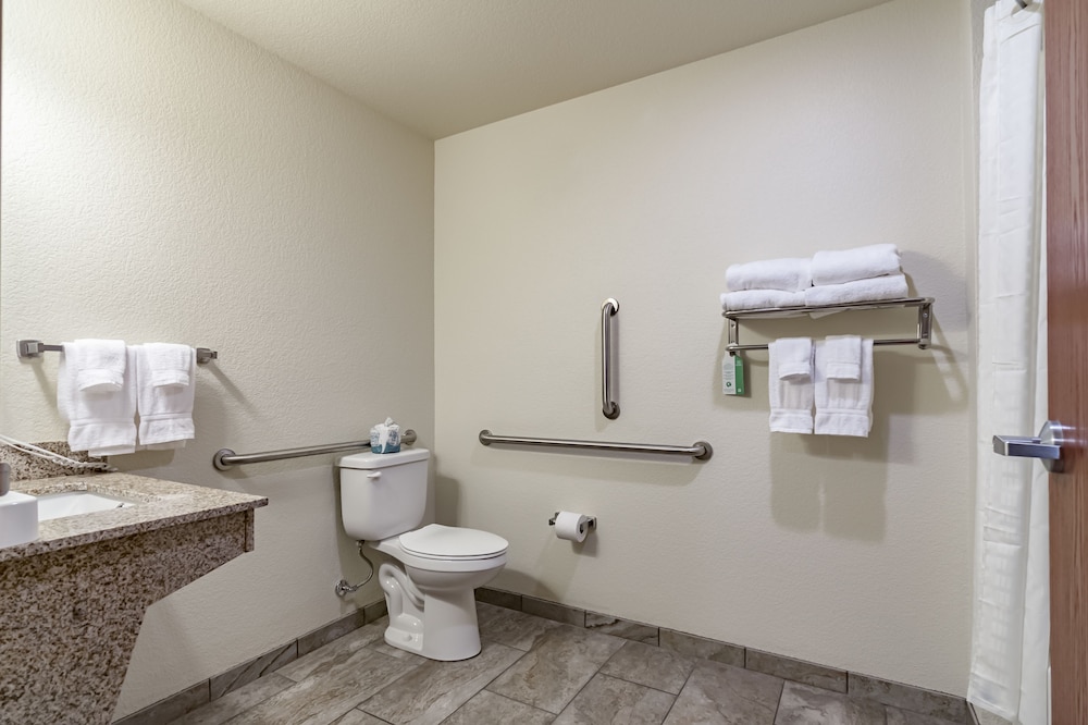 Room, 1 King Bed, Accessible Benched Tub, Non Smoking photo 2