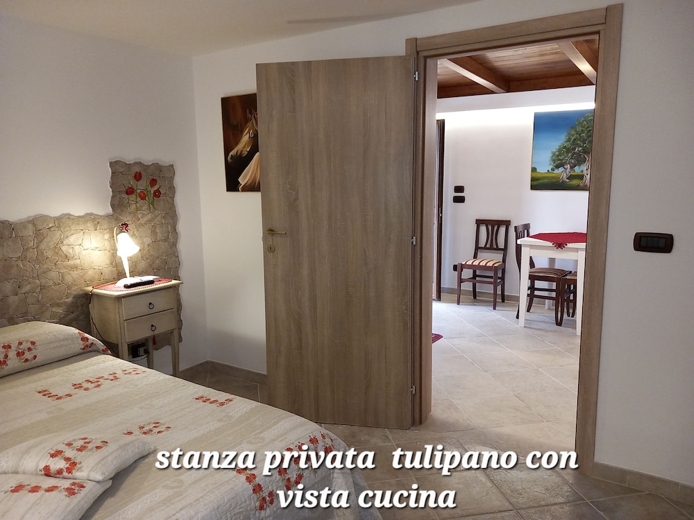 Exclusive Room, Terrace photo 3
