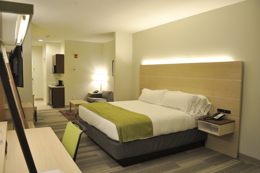 Suite, 1 King Bed photo 2