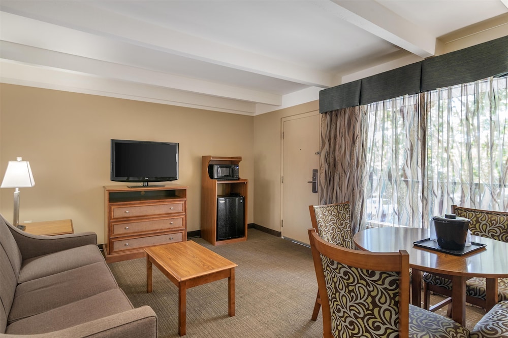 Suite, 1 King Bed, Non Smoking, Refrigerator & Microwave (with Sofabed) - Photo 1