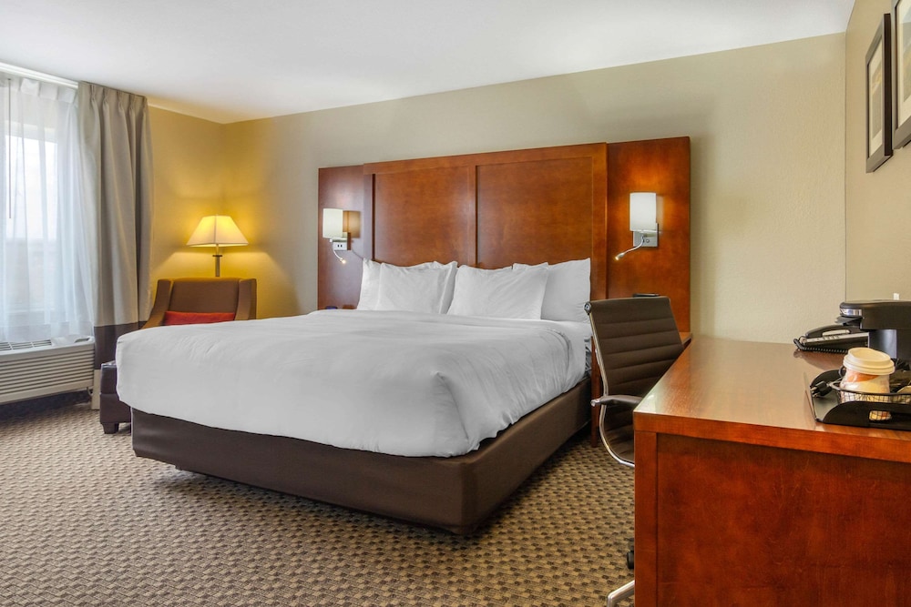 Room, 1 King Bed, Non Smoking (Larger Unit) photo 1