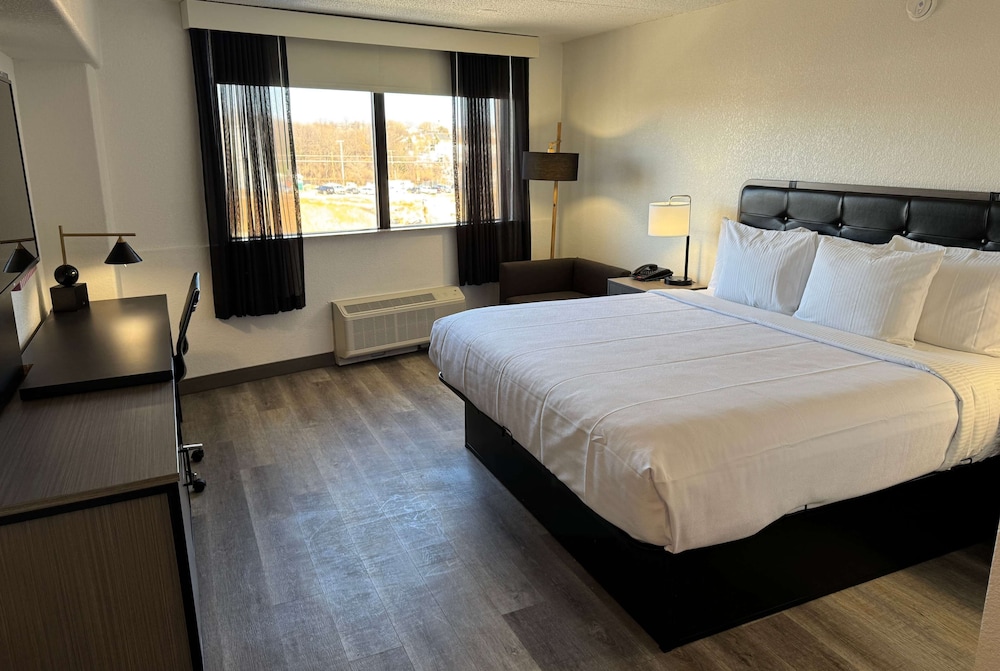 Room, 1 King Bed, Mobility Accessible, Non Smoking (Roll-In Shower) - Photo 1