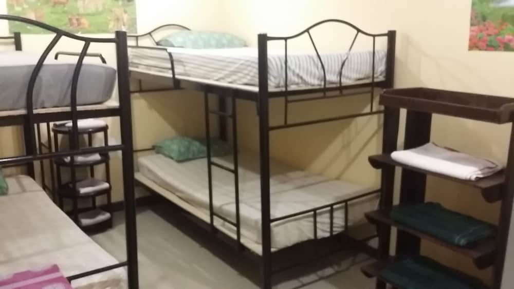 Basic Double Room, Multiple Beds photo 1