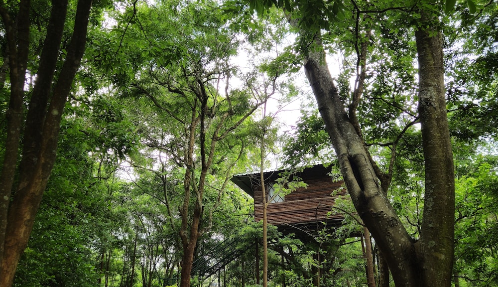 Comfort Tree House photo 3