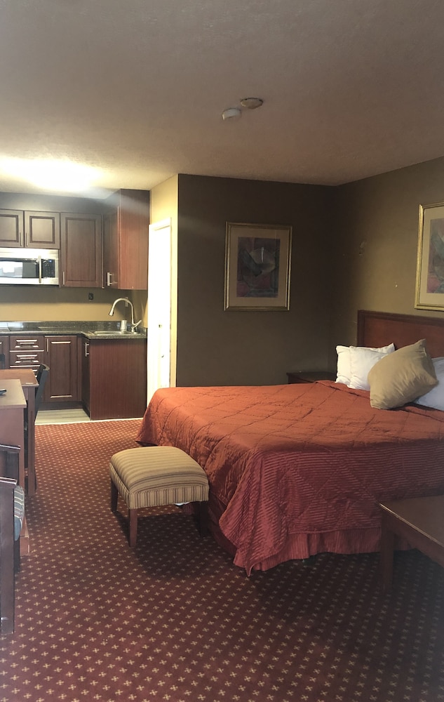 Classic Studio, 1 Bedroom photo 3