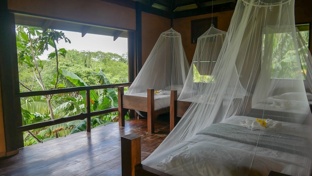 Shared Dormitory, Men only, Mountain View (4 Beds) photo 2