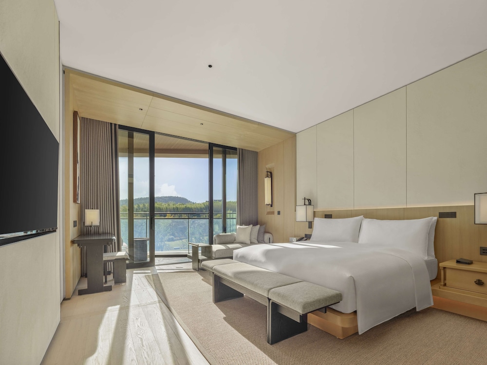 Premium Suite, 1 King Bed photo 1