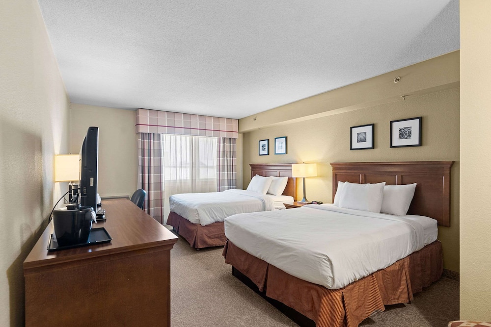 Suite, 1 Bedroom, Non Smoking (Upper Floor) photo 1