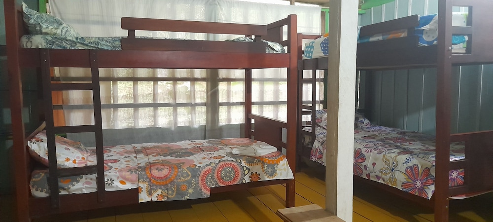 Basic Room, Multiple Beds photo 2