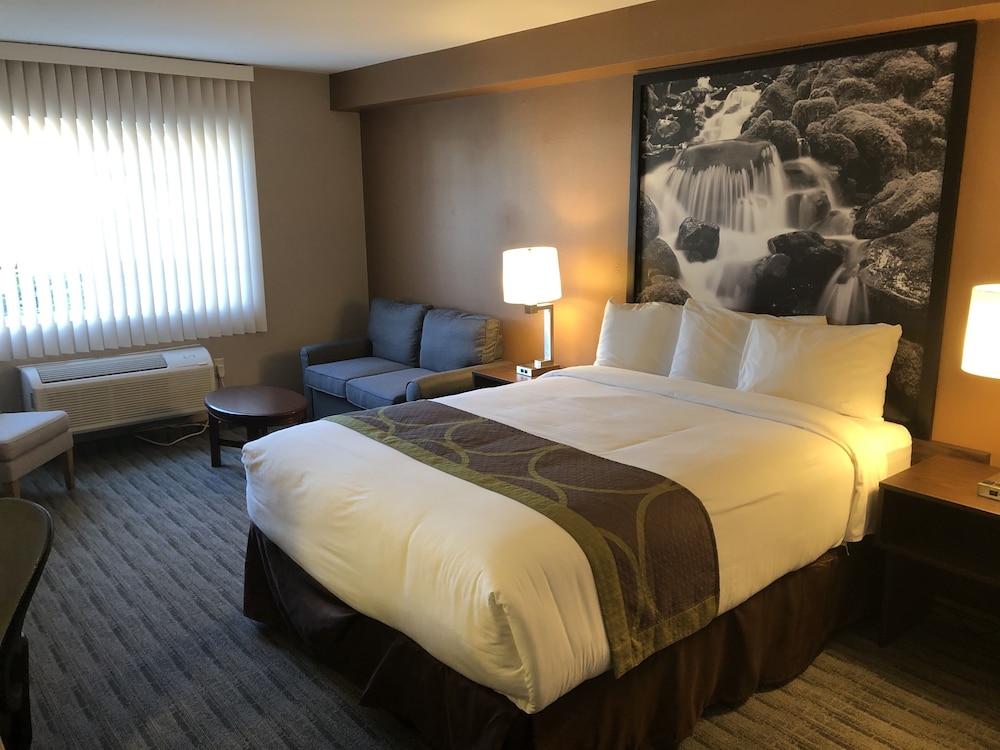 Suite, 1 King Bed, Non Smoking - Photo 3