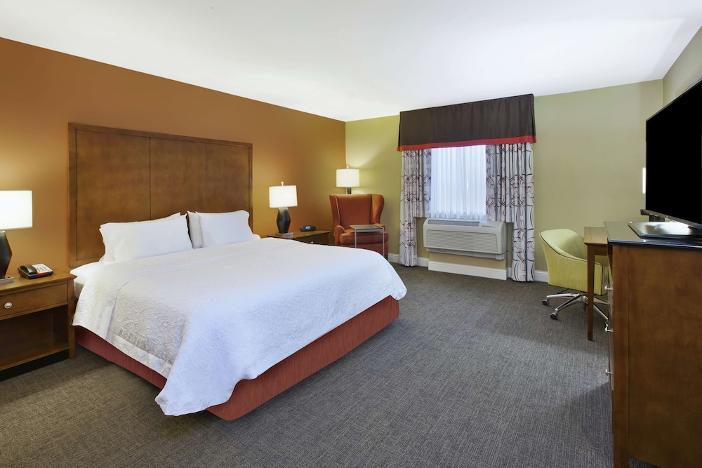Room, 1 King Bed, Accessible - Photo 3