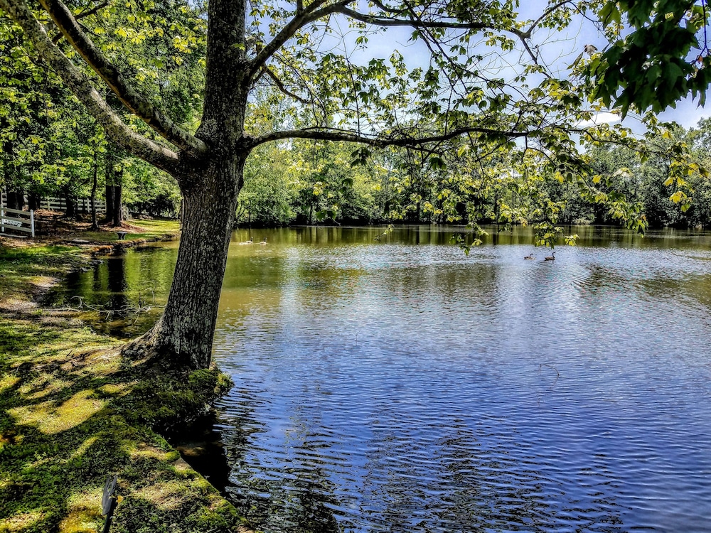 Stockbridge Lakes Bed & Breakfast, Billede 4