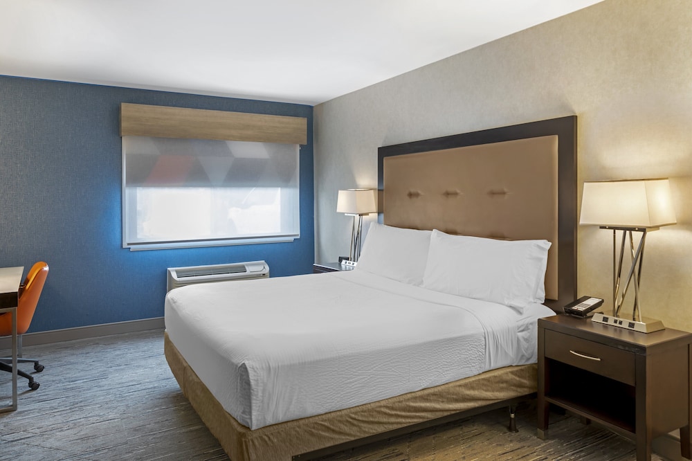 Standard Room, 1 King Bed, Accessible (Roll-In Shower) - Photo 5