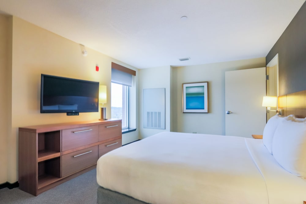 Suite, 1 King Bed photo 3